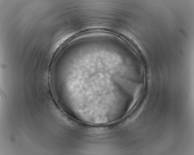 X0000090631121200708071240