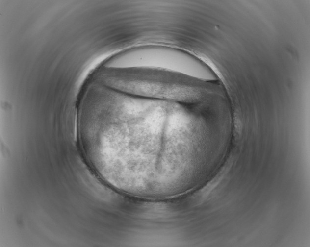 X0000090631123200708071240