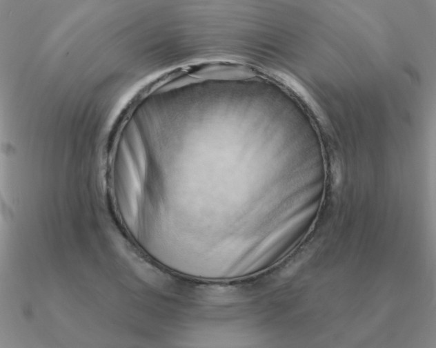 X0000090631124200708071240