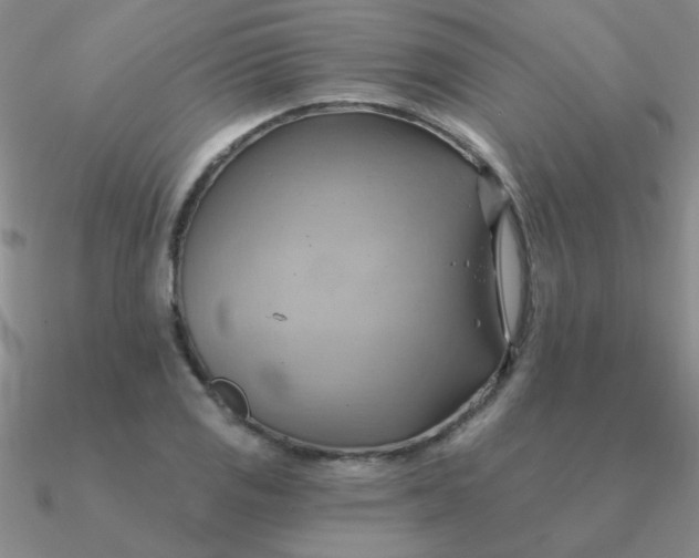 X0000090631125200708071240