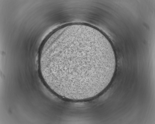 X0000090631126200708071240