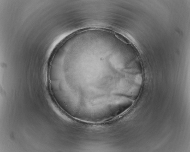 X0000090631128200708071240