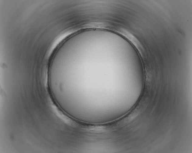 X0000090631131200708071240