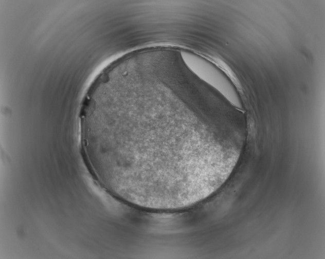 X0000090631132200708071240