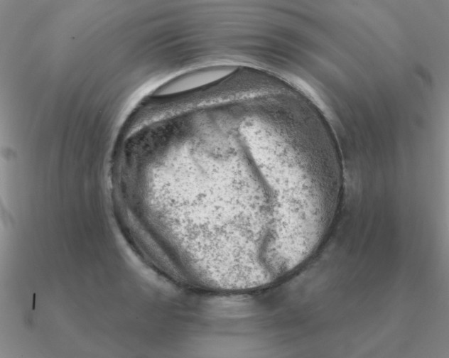 X0000090631133200708071240