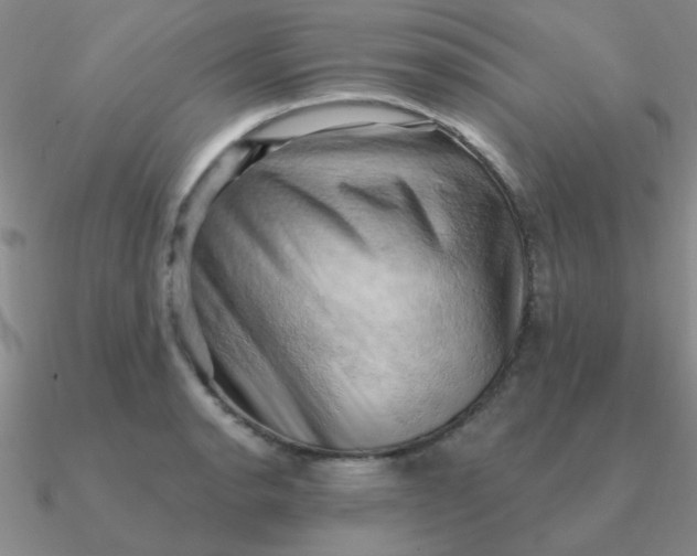 X0000090631134200708071240