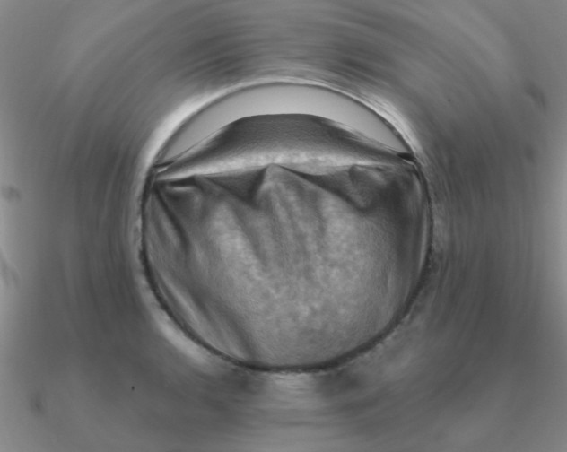 X0000090631136200708071240