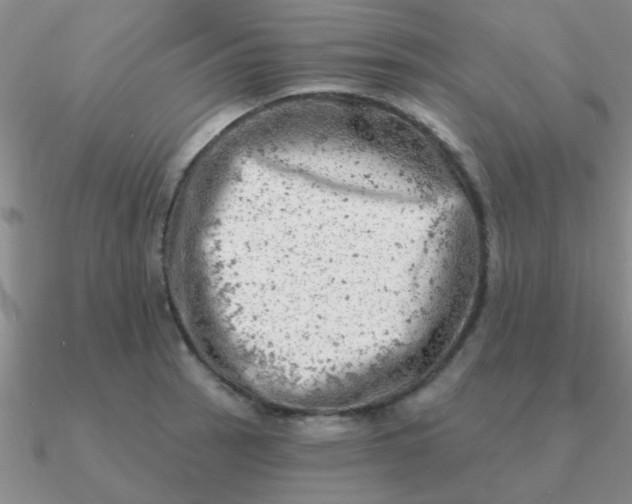 X0000090631137200708071240