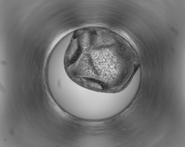 X0000090631140200708071240