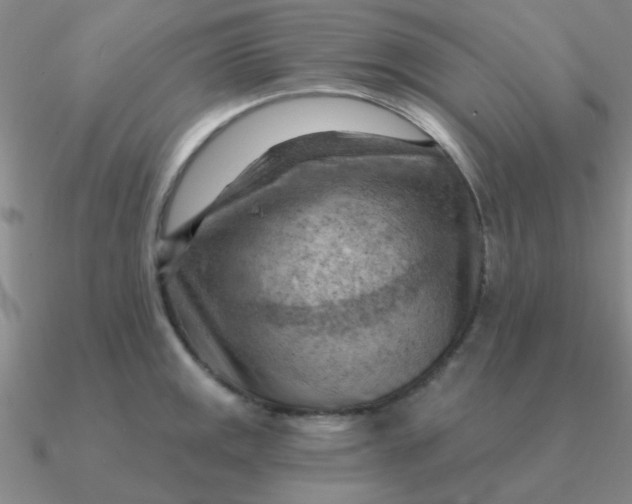 X0000090631141200708071240