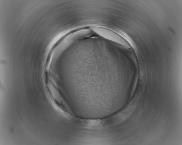 X0000090631144200708071240