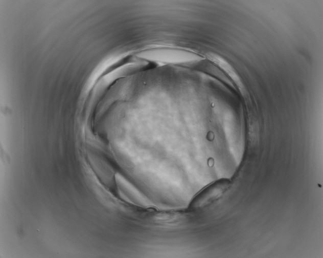 X0000090631146200708071240