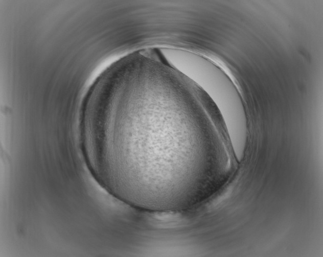 X0000090631147200708071240