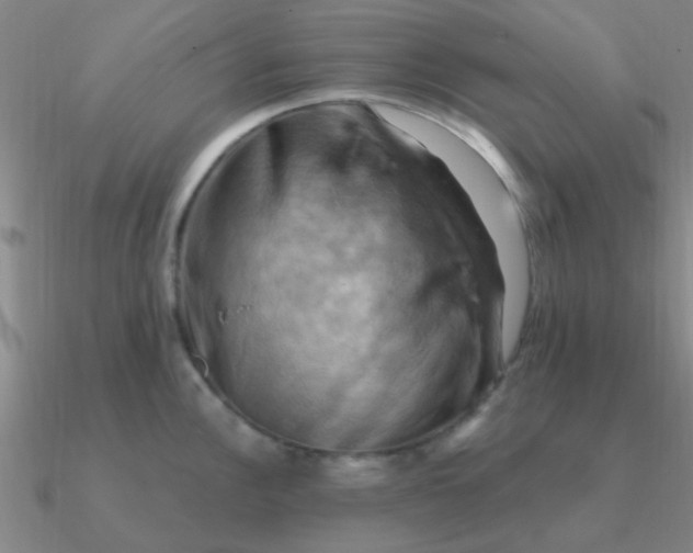 X0000090631148200708071240