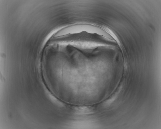 X0000090631149200708071240