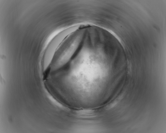 X0000090631151200708071240