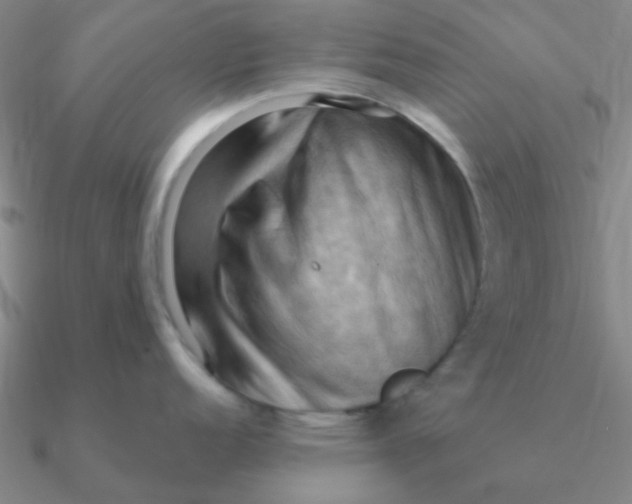 X0000090631152200708071240