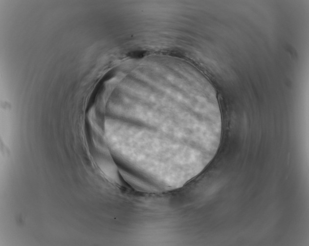 X0000090631153200708071240