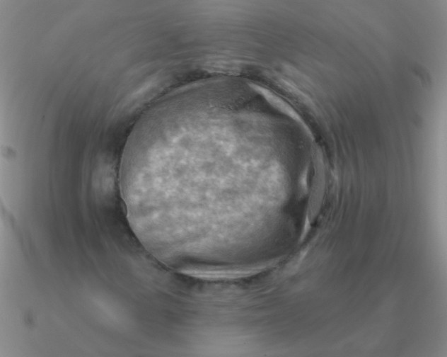 X0000090631154200708071240