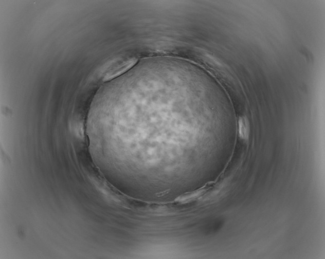 X0000090631155200708071240