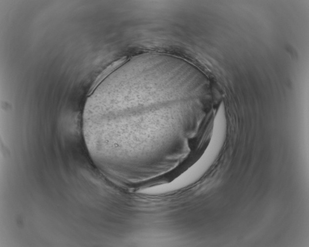 X0000090631156200708071240