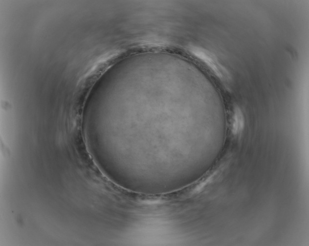 X0000090631157200708071240