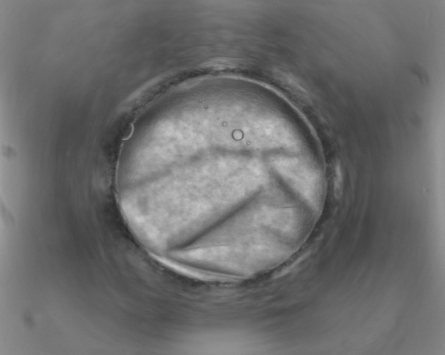 X0000090631158200708071240