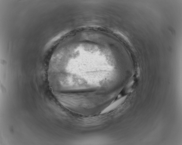 X0000090631159200708071240