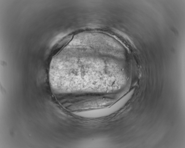 X0000090631160200708071240