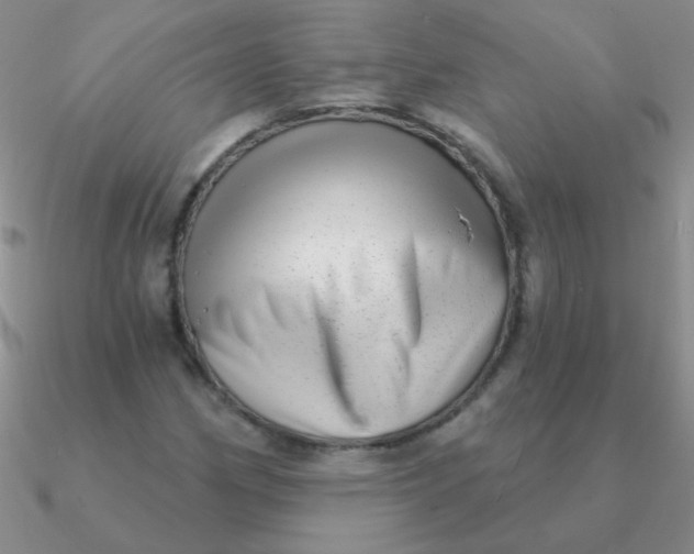 X0000090631162200708071240