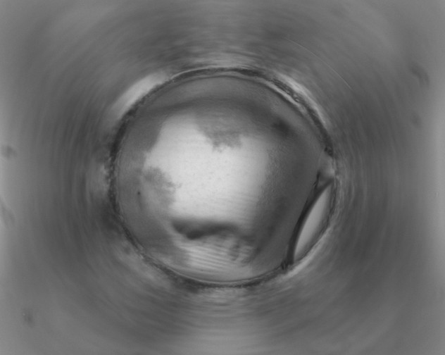 X0000090631163200708071240