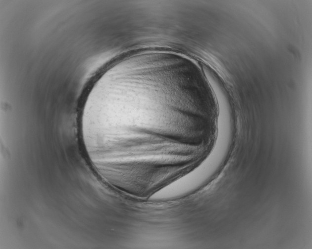 X0000090631164200708071240