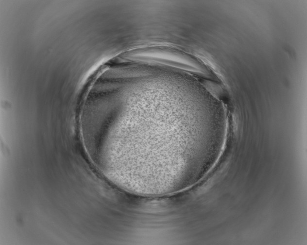 X0000090631165200708071240