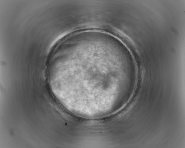 X0000090631166200708071240