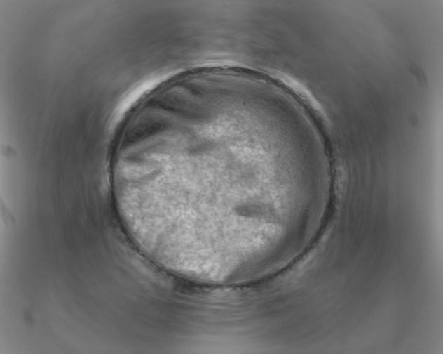 X0000090631167200708071240