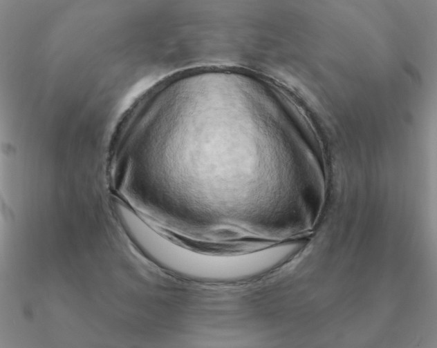 X0000090631168200708071240