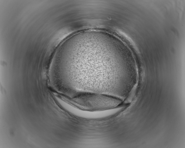 X0000090631169200708071240