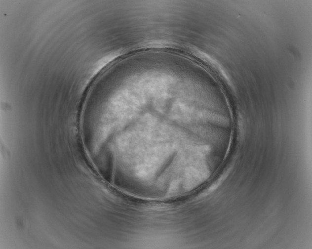 X0000090631170200708071239