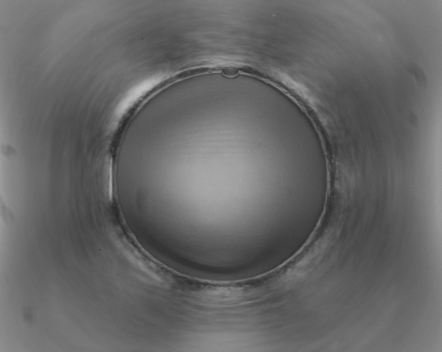 X0000090631171200708071239