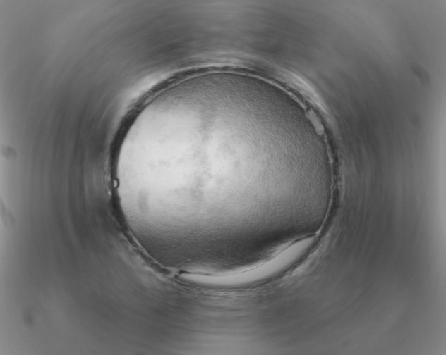 X0000090631172200708071239