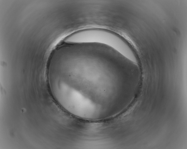 X0000090631173200708071239