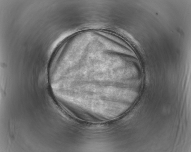 X0000090631174200708071239