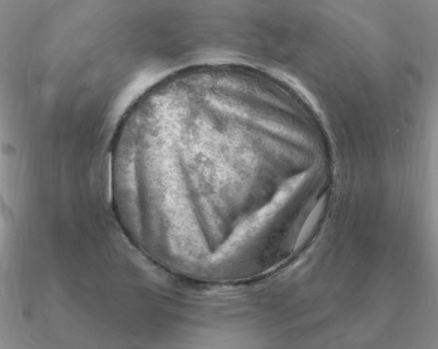 X0000090631175200708071239