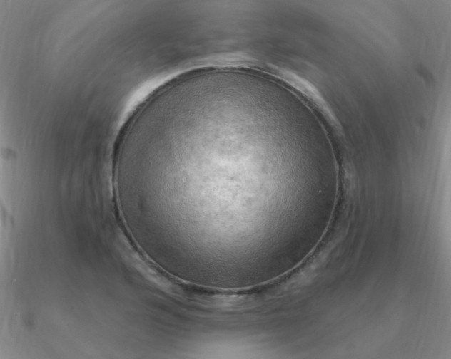 X0000090631176200708071239