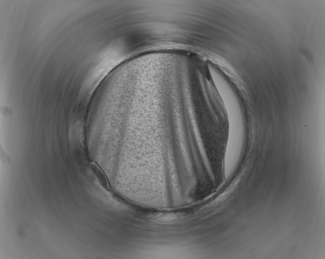 X0000090631177200708071239