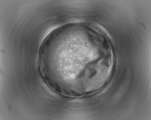 X0000090631178200708071239