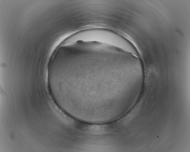 X0000090631179200708071239