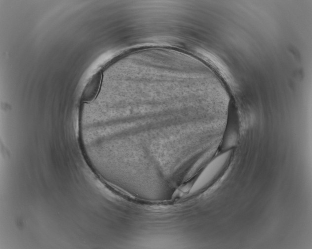 X0000090631180200708071239