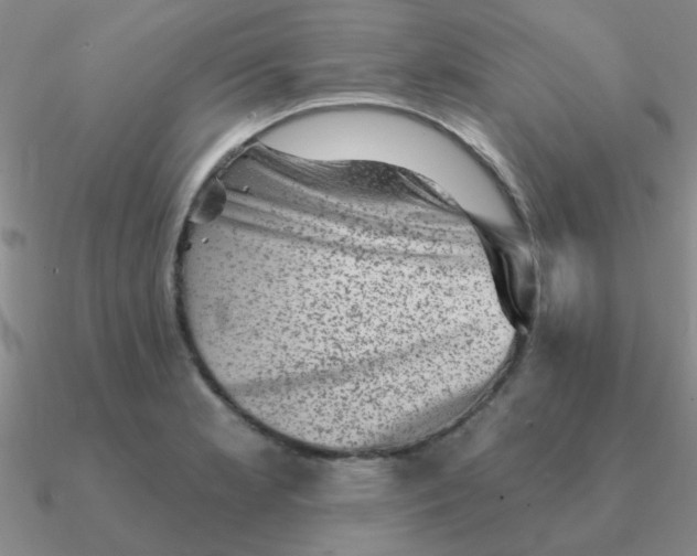 X0000090631181200708071239