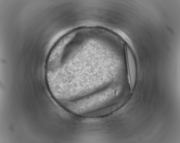 X0000090631183200708071239